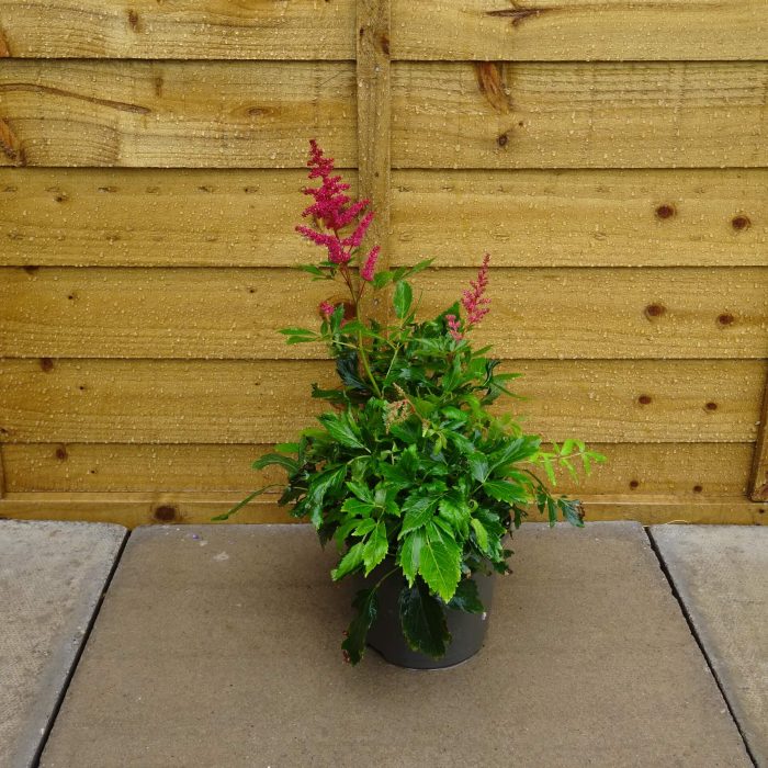 788be486-87ab-4eca-a299-61170121bd3d