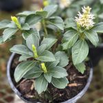 65beb3e9-7cfd-40d6-b4e1-c286951cd42f