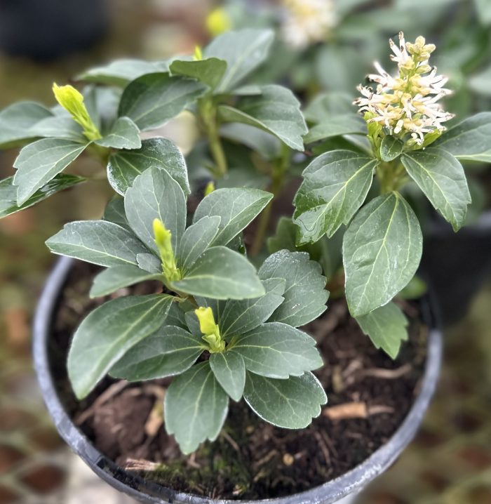 65beb3e9-7cfd-40d6-b4e1-c286951cd42f