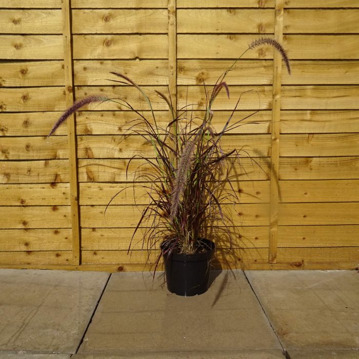 be8dd9a2-df1d-4fc3-93d6-635124680eeb