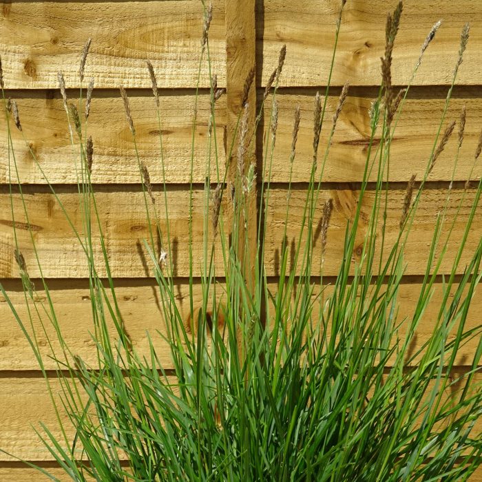 9e56bed1a456320f822292743e800deb.jpg 08450c54-60b0-4a9c-94f8-0fcfe72c8d3c