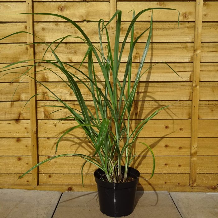 8146856d-c27b-4918-a455-bbfcdd87b0a8