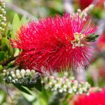 3296b956-6f1a-43a9-b572-74c0f9e00a2c