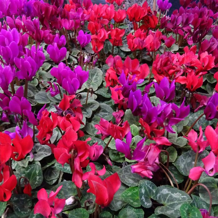 64108fc3-6a32-4e76-9bff-87646d826e6d