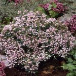 85e7eeff-8769-4c02-958d-bbfda0e19909