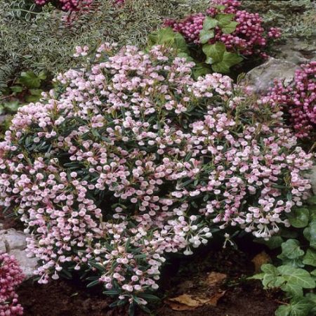 85e7eeff-8769-4c02-958d-bbfda0e19909