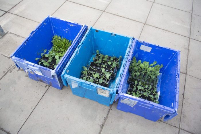 12b67f68-179c-43f2-ab2f-ba7430afedca