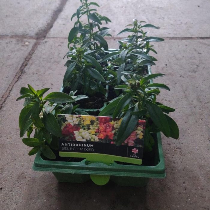 b4546c17-b976-4f7e-b2b5-e85ca24f0873