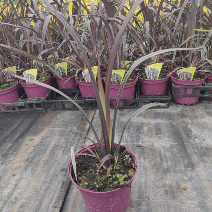 c1ac28e1-b8a5-4928-892f-728dee068bb4