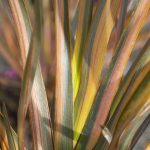 5107dacc-69c2-4e40-b674-7557e800e695