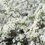 fdd2d87b-00c3-42ff-a06a-f4e6b3558979