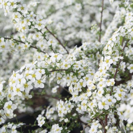 fdd2d87b-00c3-42ff-a06a-f4e6b3558979