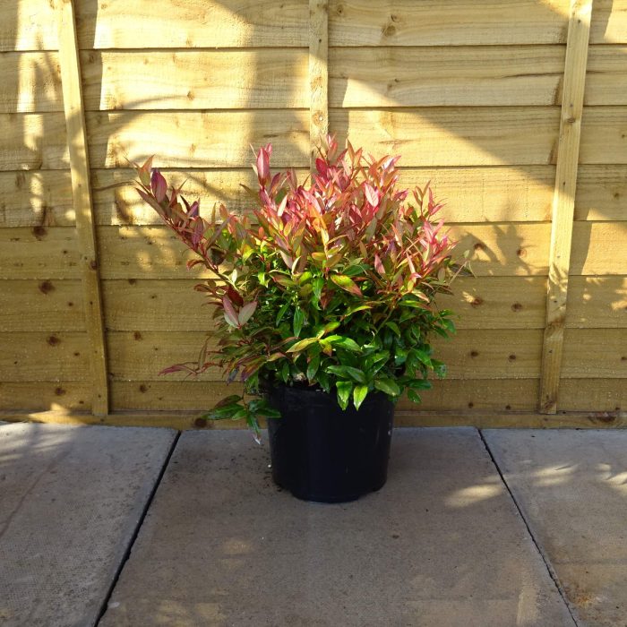 b94f6f92-01f4-4683-a2de-9c0d697c37e0