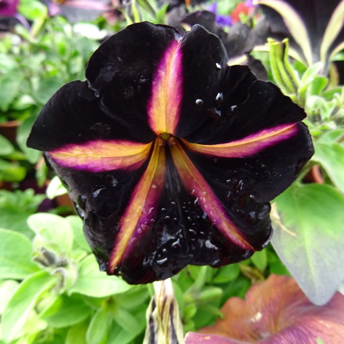 46016e8c-7ef3-4eb0-9f4a-dfbd019777fd