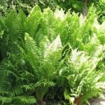 9978cf85-01e6-4f99-b6c1-d64c79a9373d