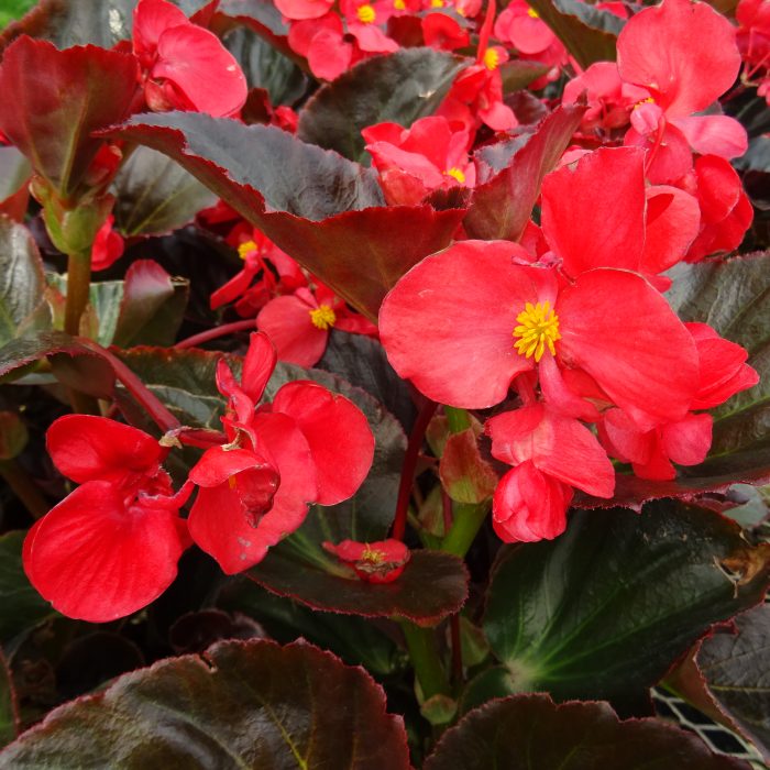 a71bad72-d265-41a1-8a9d-59a0f240485d