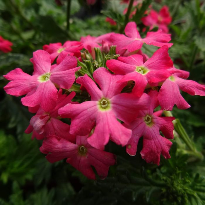 4f4906ce-263c-4571-944a-fc698183954b