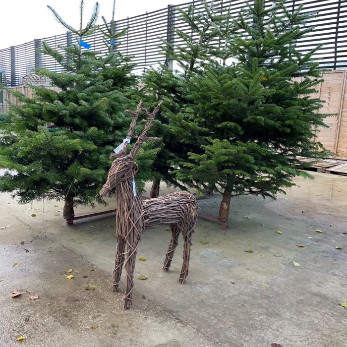 b5d77c3d-d48a-49bd-be55-8b83c755b596