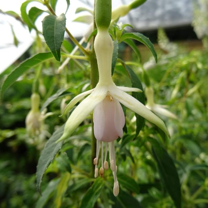 85619d96-c355-4275-8e62-3d53bf4a8cee