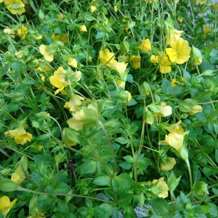 eda97981-98ac-4349-9cea-2ea9427f1f5d