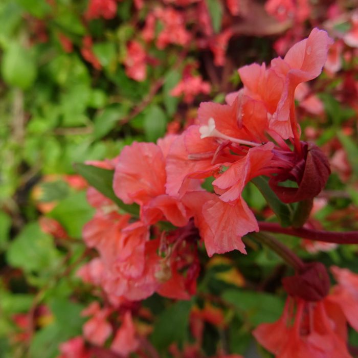 272c63c3-b19a-400b-a994-e47539d1efca