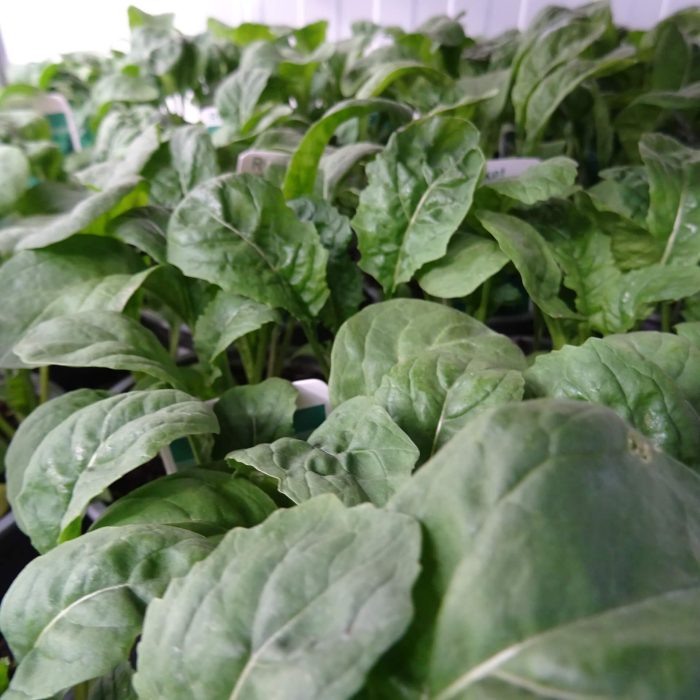 a17d9d4765529dda573c9f5bbf31ca60.jpg 7f806a03-4306-47f5-9267-c469b212815a