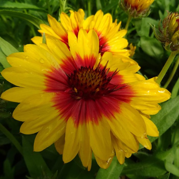 a1a17236dd3c789e23d9f95ab914c977.jpg c7090cf2-0ce4-4733-b881-f3bb2840acf9