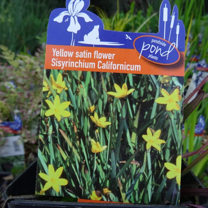 d40988a1-4cab-4382-9c0a-14c59571b0f8