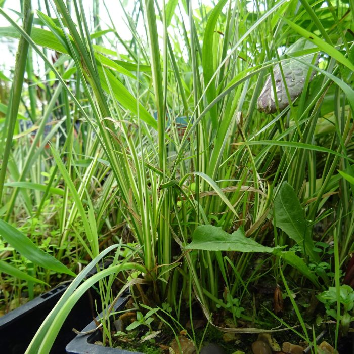 f3e02506-9328-44e5-bd6c-99982786b805