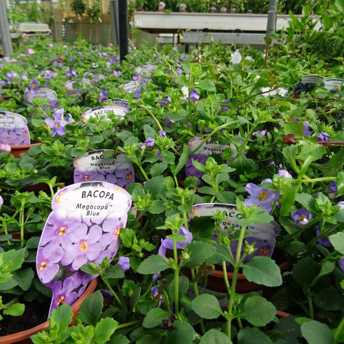 fbbe67af-fca1-484b-84d4-c111a660d085