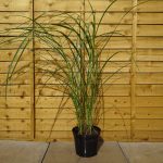 9695dc5d-5176-41a3-b6e6-01a935ac9a20