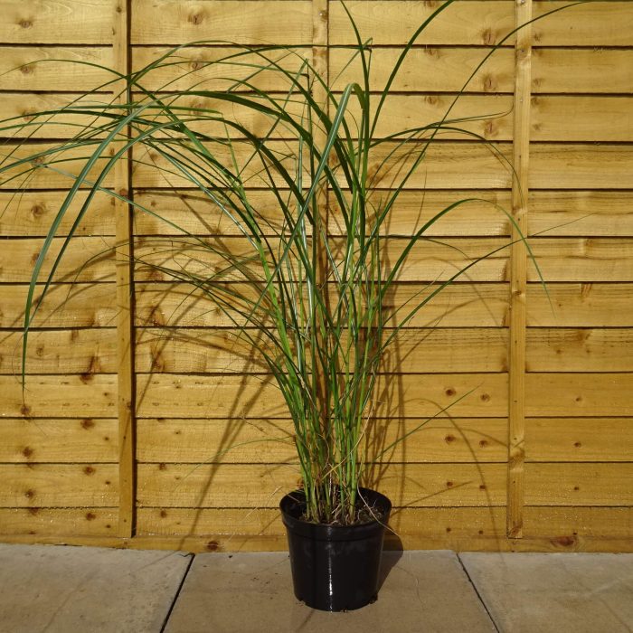 9695dc5d-5176-41a3-b6e6-01a935ac9a20