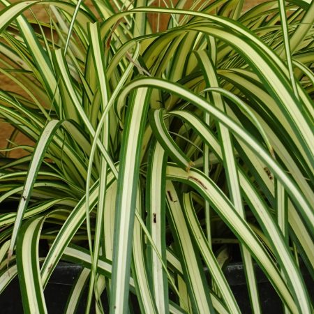 03c19285-85ff-4a91-acf8-186c7cdf361d