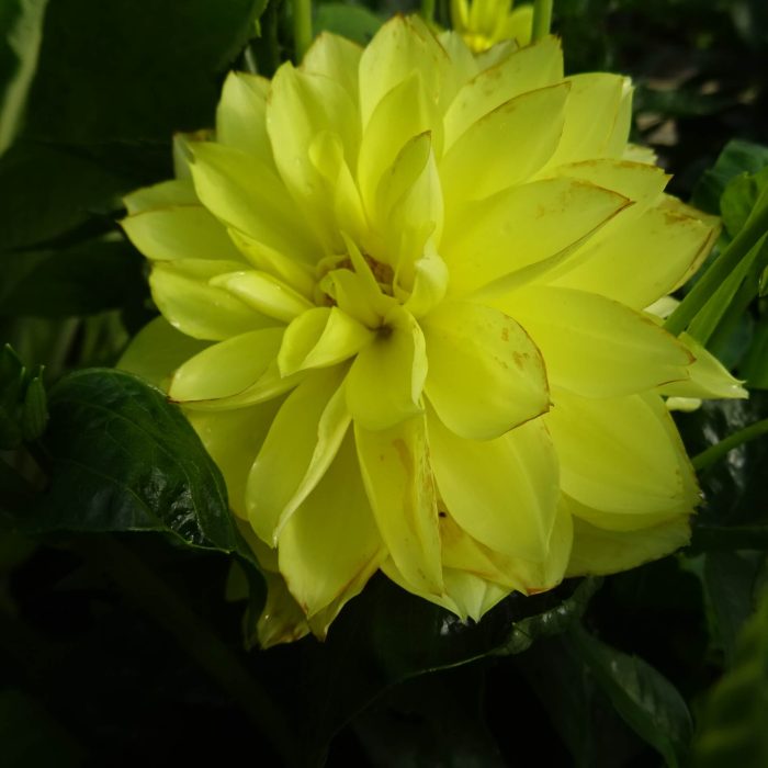 a37ddadc0e92529bf6318ed4f2f72b40.jpg a1d423a3-4868-4346-b490-33a34f07581b