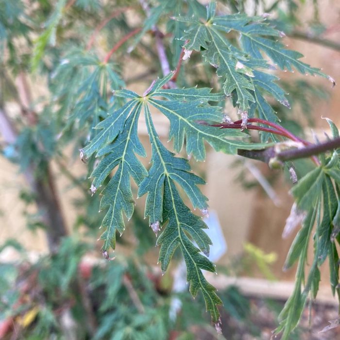 a38c164b9da27d9619653ebefeeb0f7f.jpg 5b54e945-f416-4440-942d-57ca3e8a8296