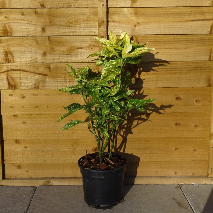 05a62432-dc73-49df-9337-36cd01329bf0