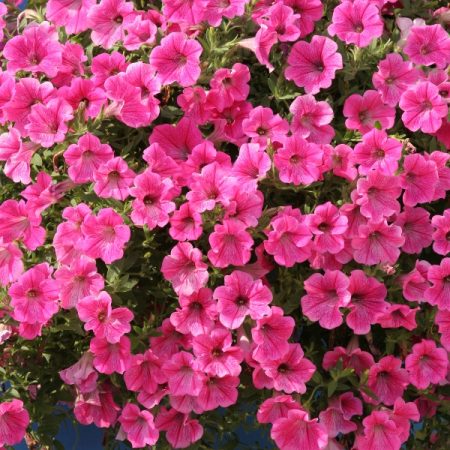 85194bbb-a850-479d-892c-b00caf841ac7