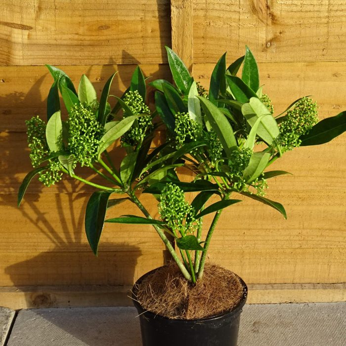 e54e5774-60d4-4604-b2b9-ee9347ad58c3