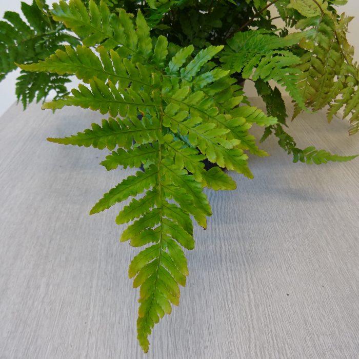 5d1f305f-8ec6-43d0-a341-db618fb5b730