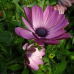 04ff6628-0803-4d2a-9256-cb86160a8844