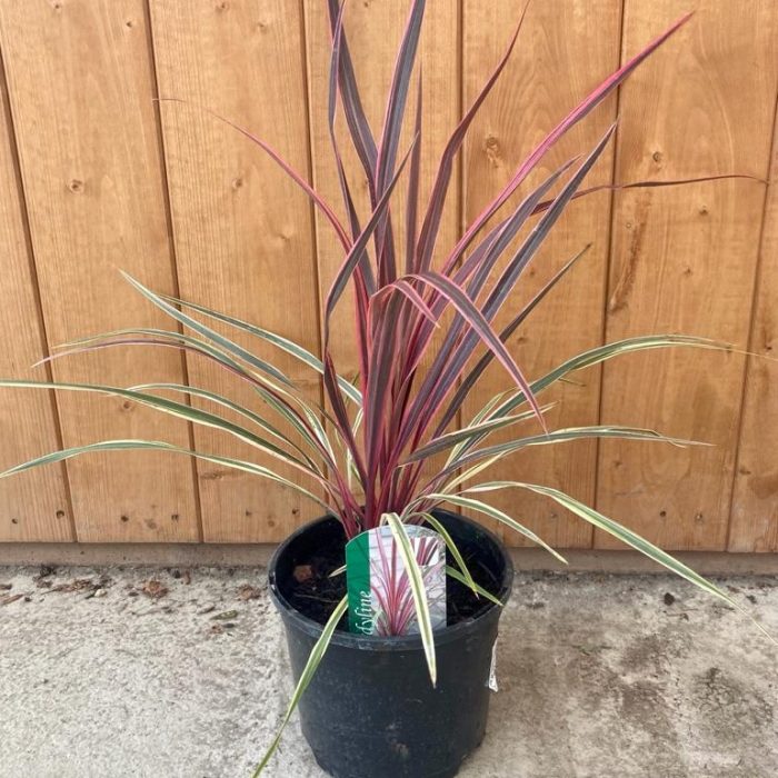 7b9684b3-d945-49d5-9b83-0c5b59e3b512