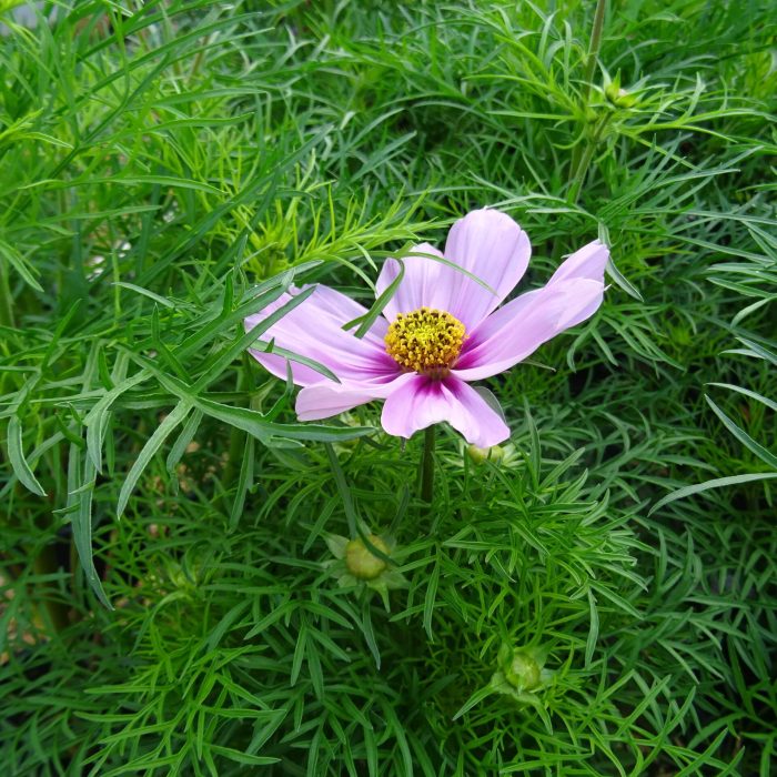 ddec89d6-9042-4317-9c59-343982f2b4f4