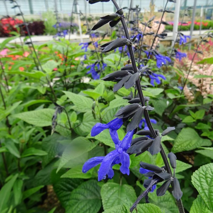 d080df6c-bad0-44e5-a18f-63bcf59bf001