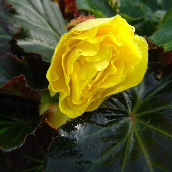 3b62ed62-f01a-40c3-b793-abca0747dbf2