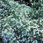 fed2b80a-cd18-444b-a1c1-b8ecc3c0914c