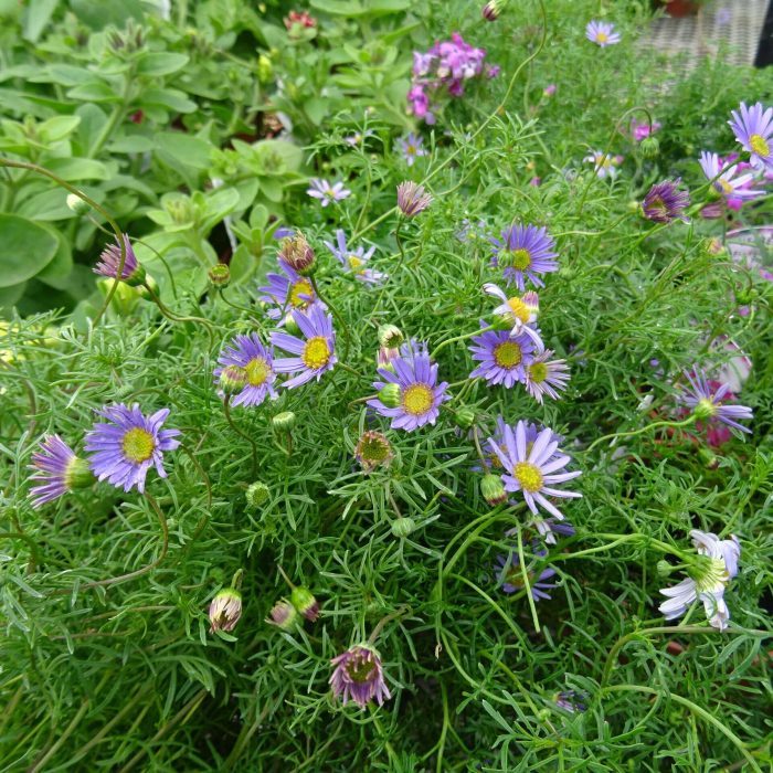 a85a22ab7414667374fdecc5dc1db7b4.jpg b8def1bf-e5b3-4f0e-8f7d-825540800d1c