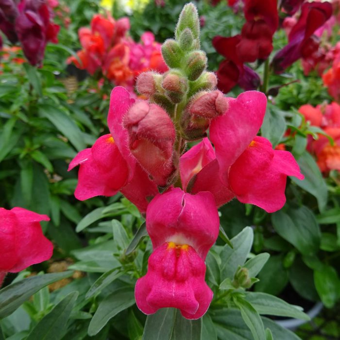 aec9f435-02e5-449f-91f5-ff0ecfec2b9b