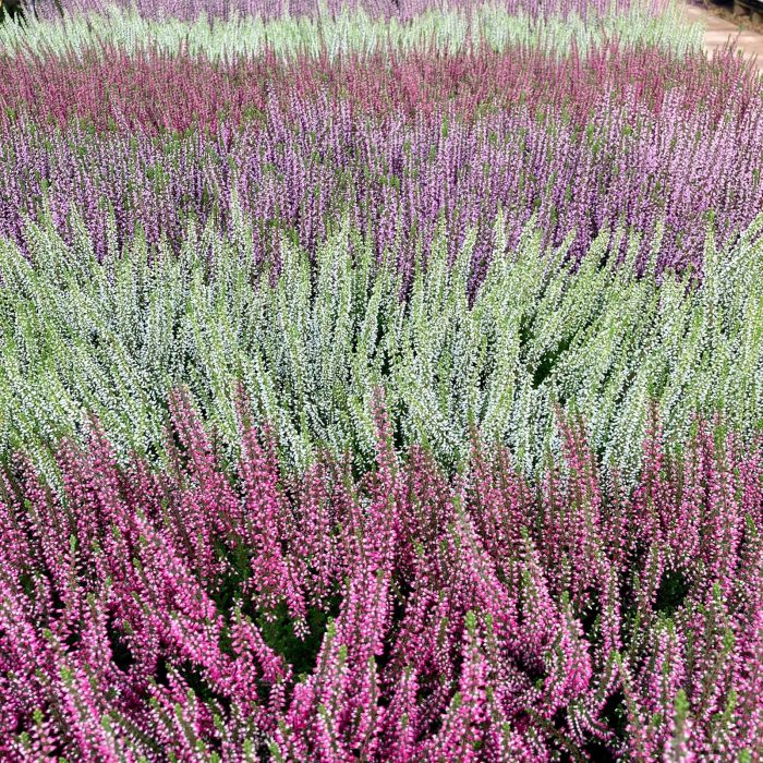 a1db46e8-4c26-41b6-8284-9ab48b368568