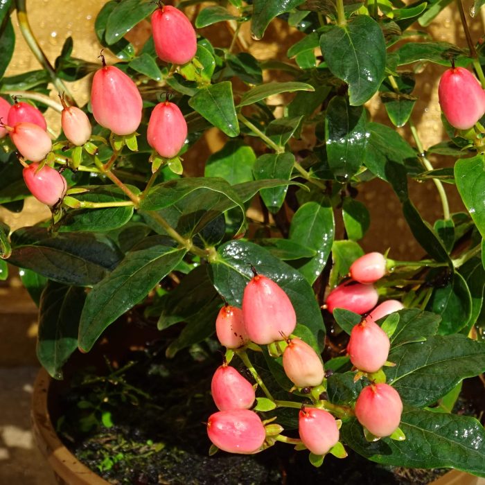 5afb262d-a638-47d5-bf5b-bacf2281f074