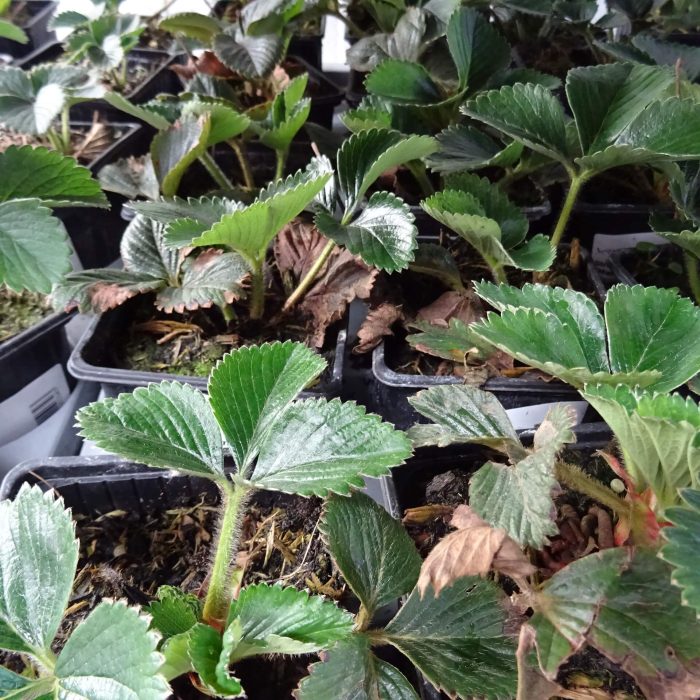 323be51e-2c9f-4735-a014-4ac9d16e8a65